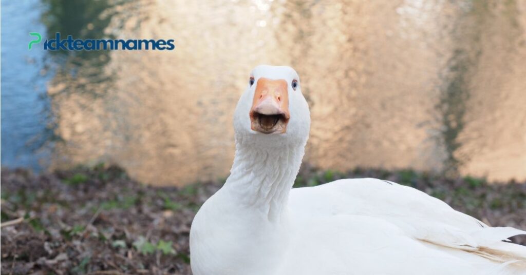 Classic Names For Goose