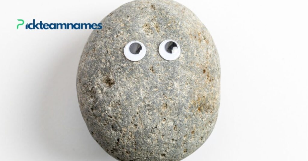 Funny Names For Pet Rocks