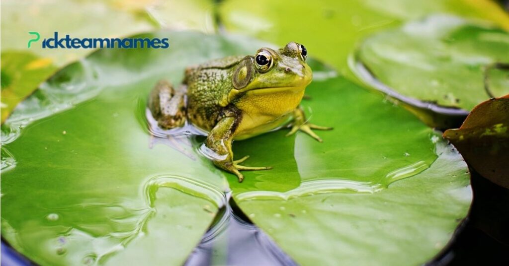 Inspired Names For Frogs