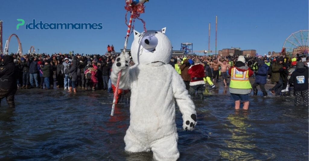 Seasonal Polar Bear Plunge Team Name Ideas