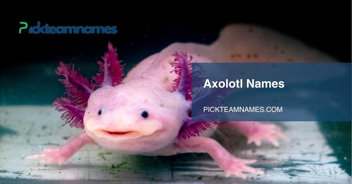 axolotl names