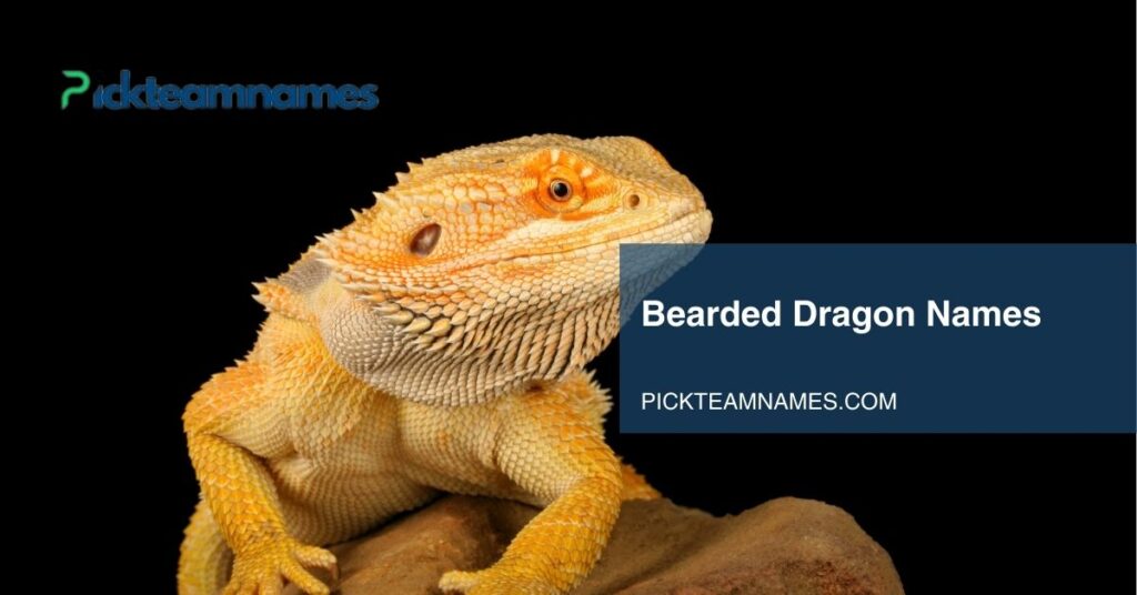 bearded dragon names