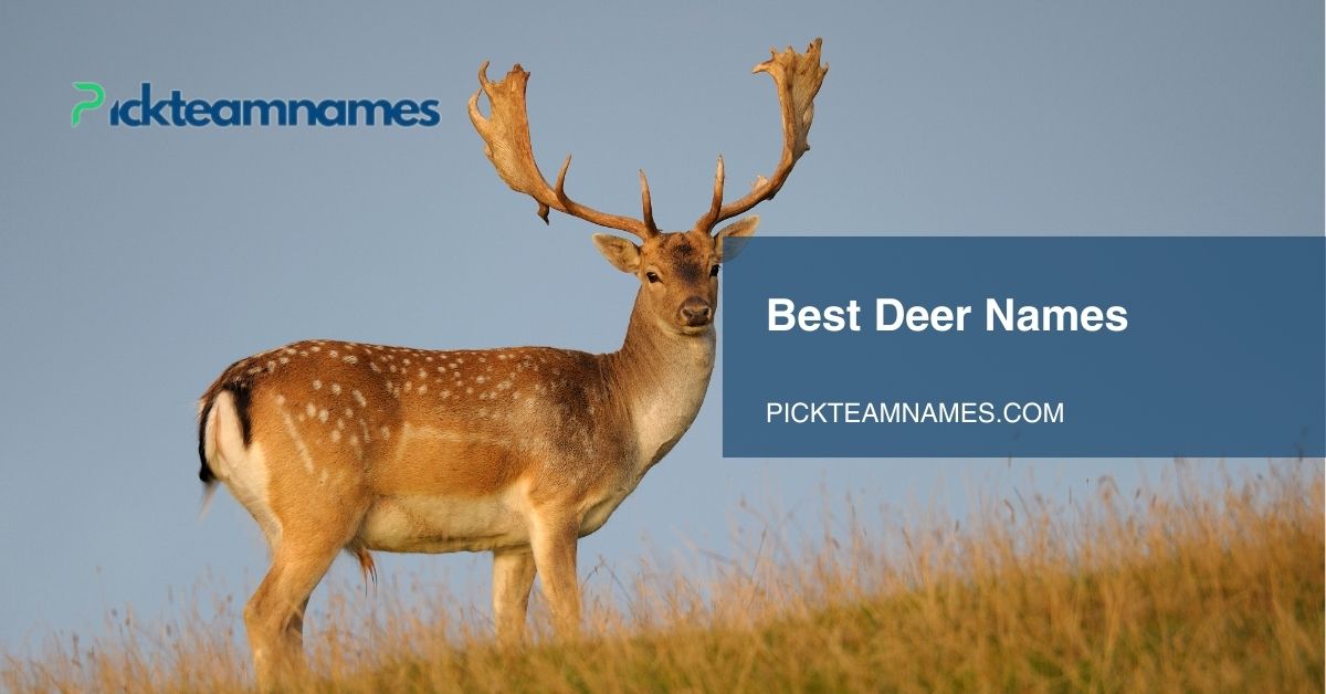 best deer names