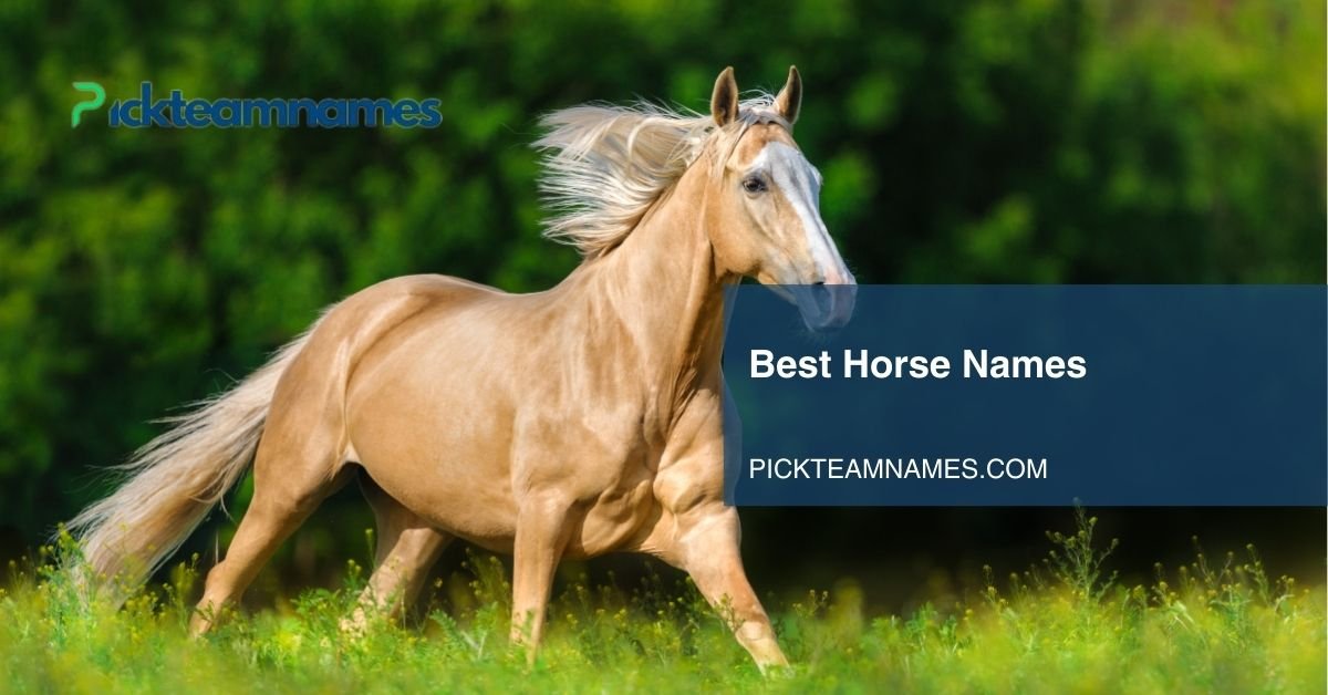 best horse names