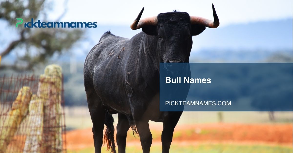 bull names