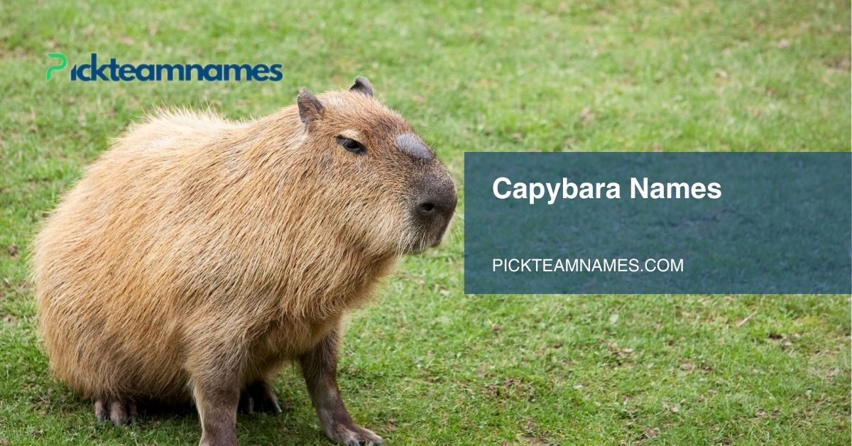 capybara names