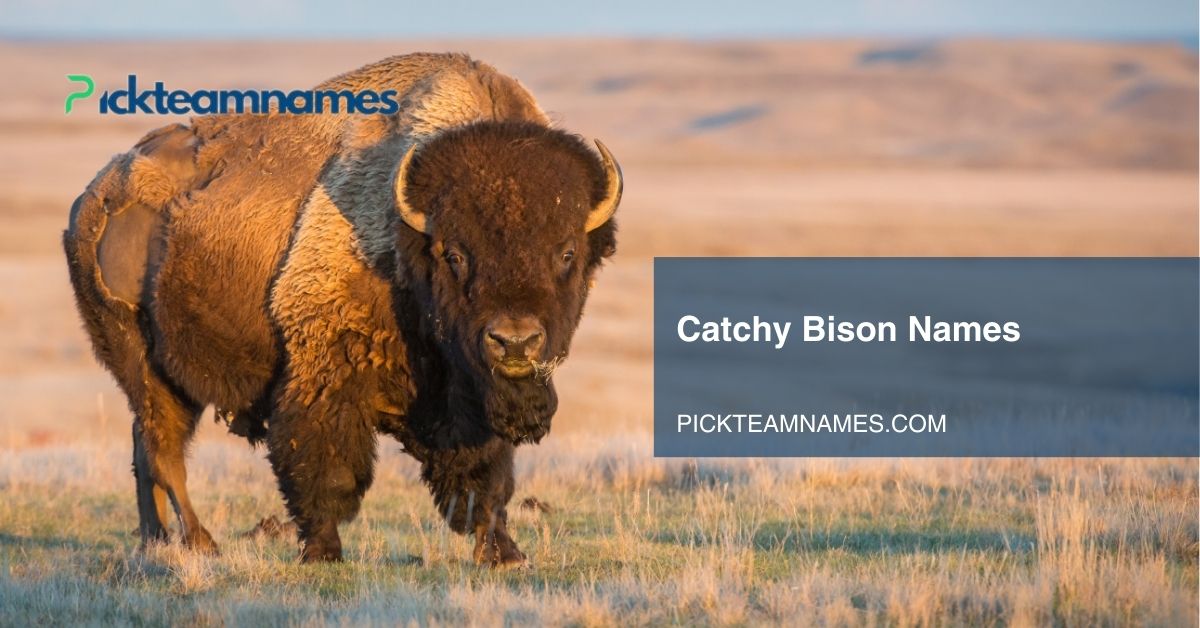 catchy bison names