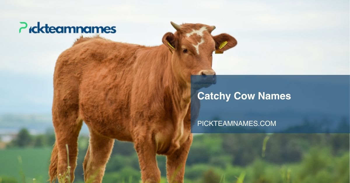 catchy cow names