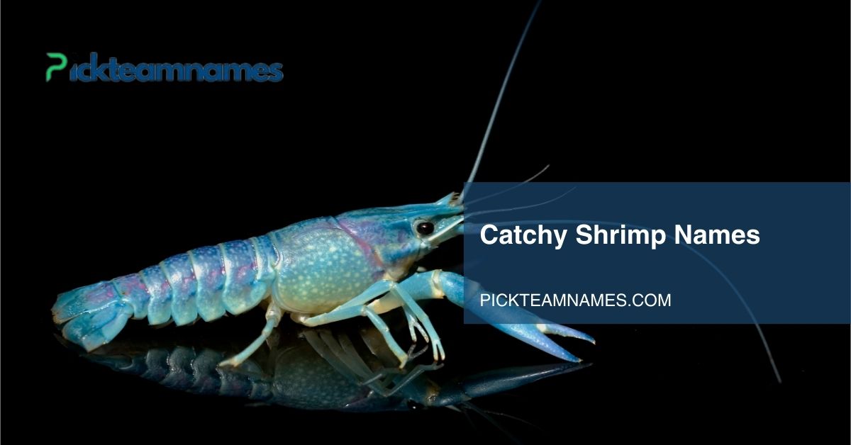 catchy shrimp names