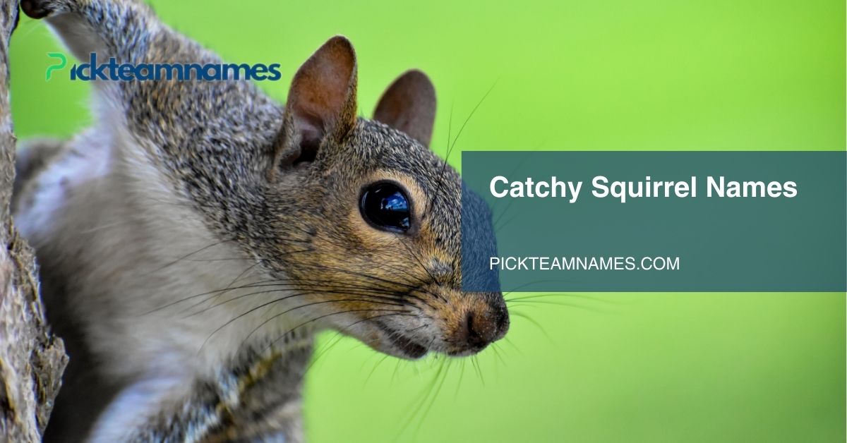 catchy squirrel names