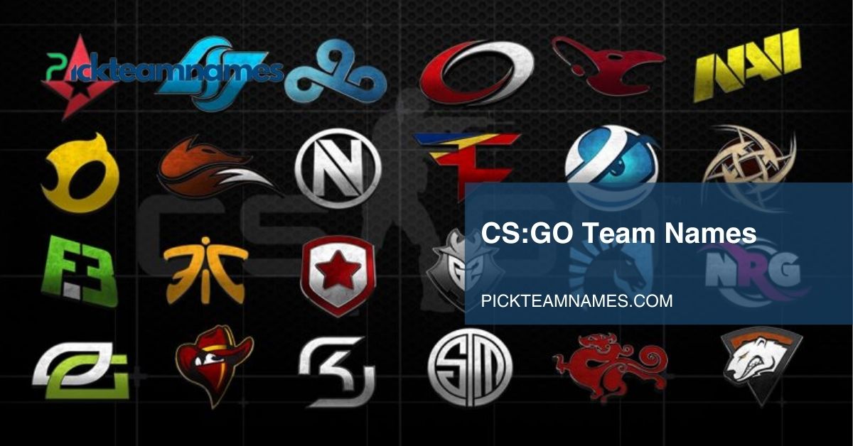 csgo team names