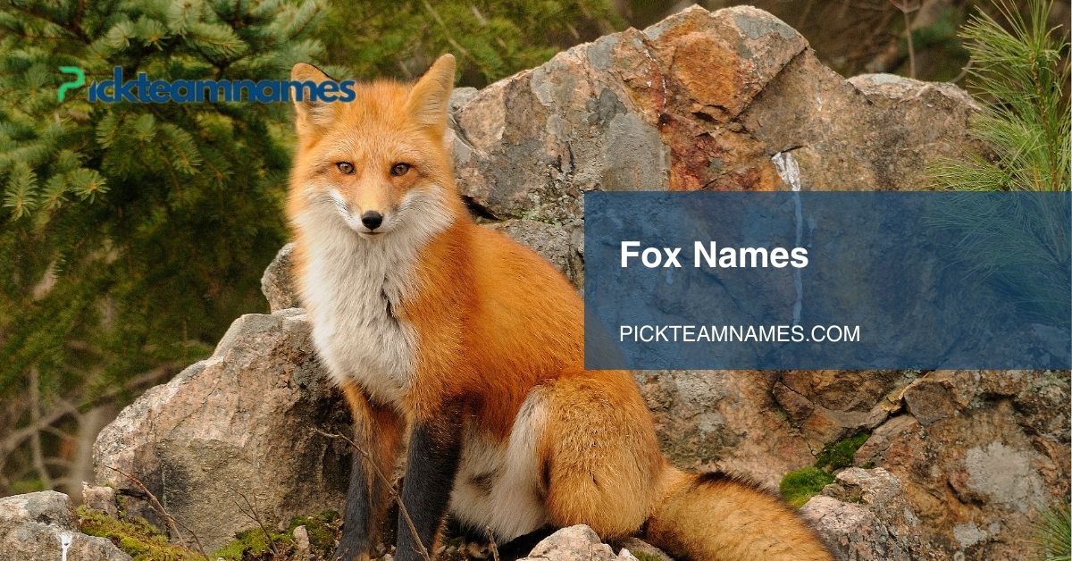 fox names