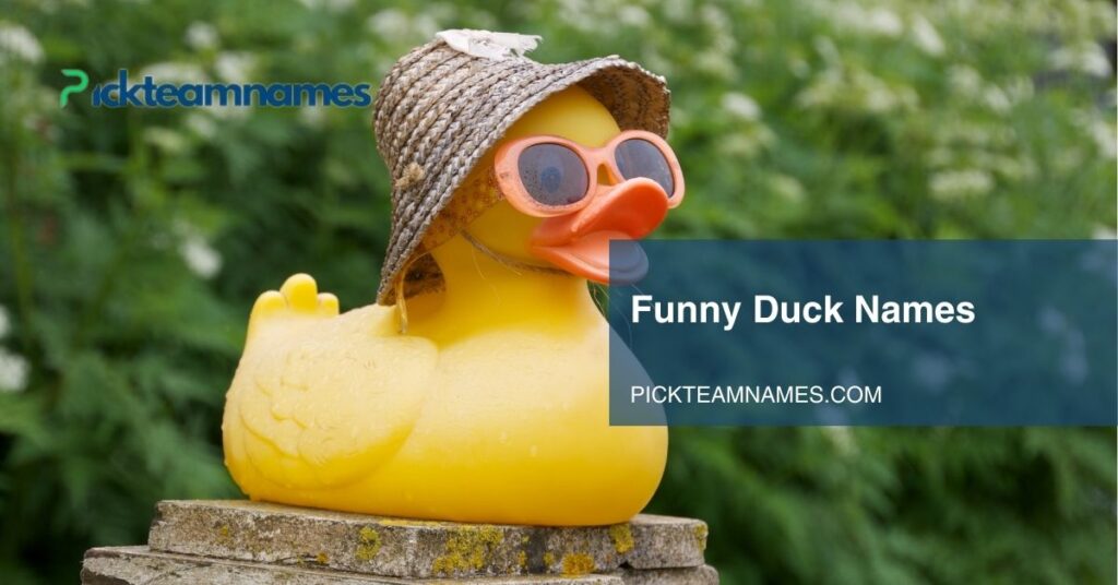 funny duck names