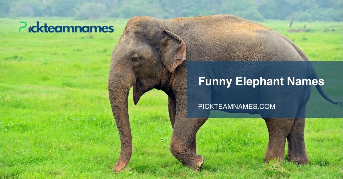 funny elephant names