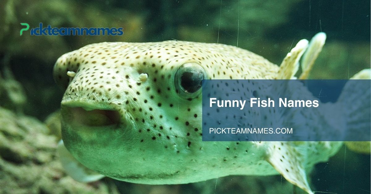 funny fish names