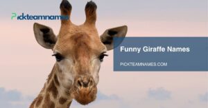 funny giraffe names