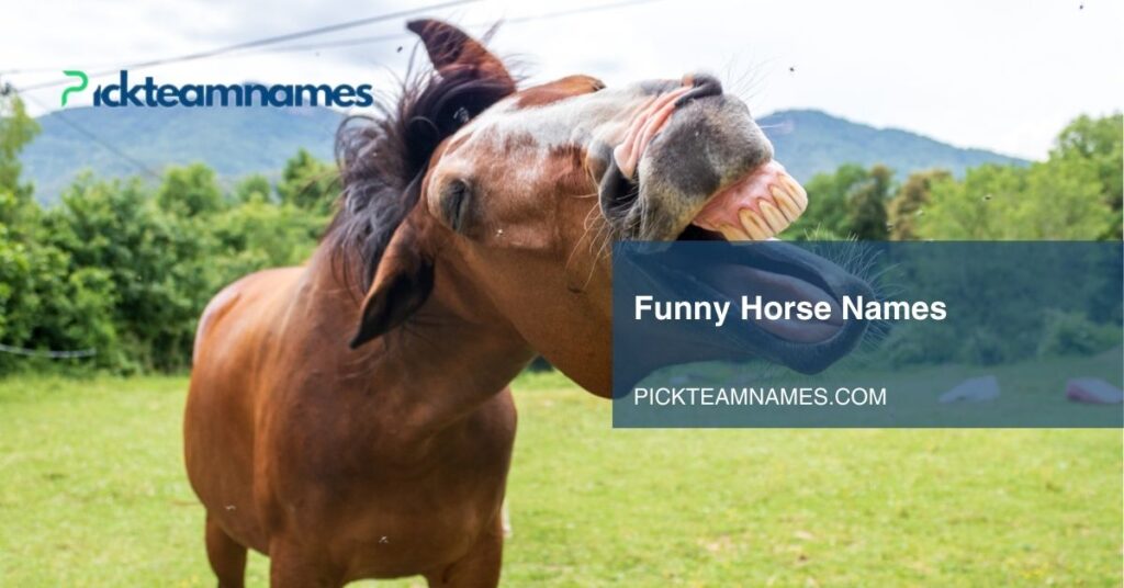 funny horse names