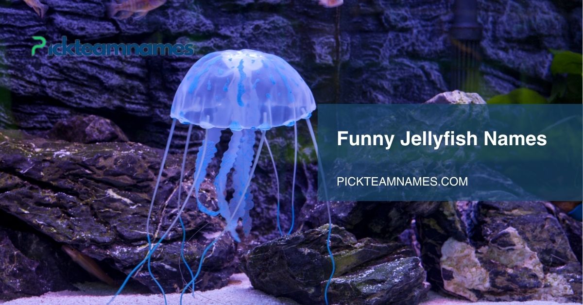 funny jellyfish names