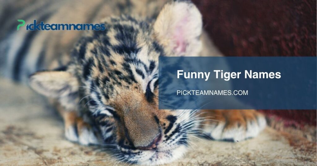 funny tiger names