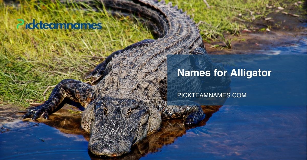 names for alligator