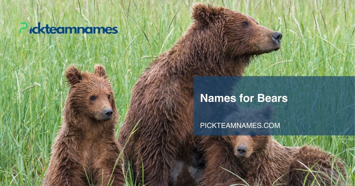 names for bears