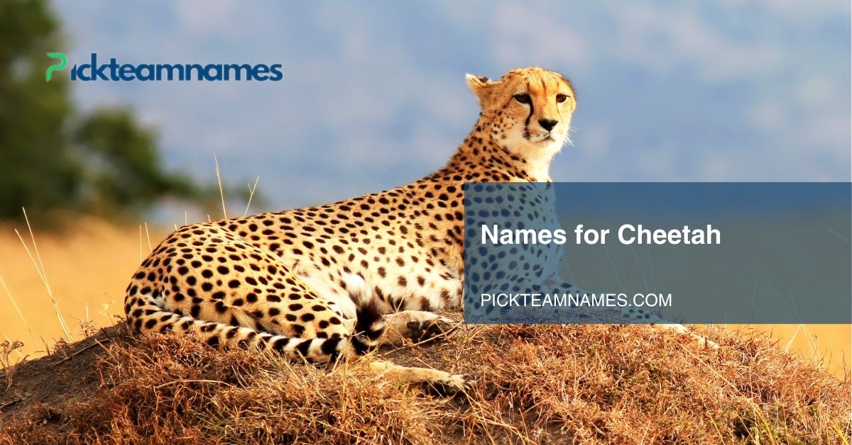 names for cheetah