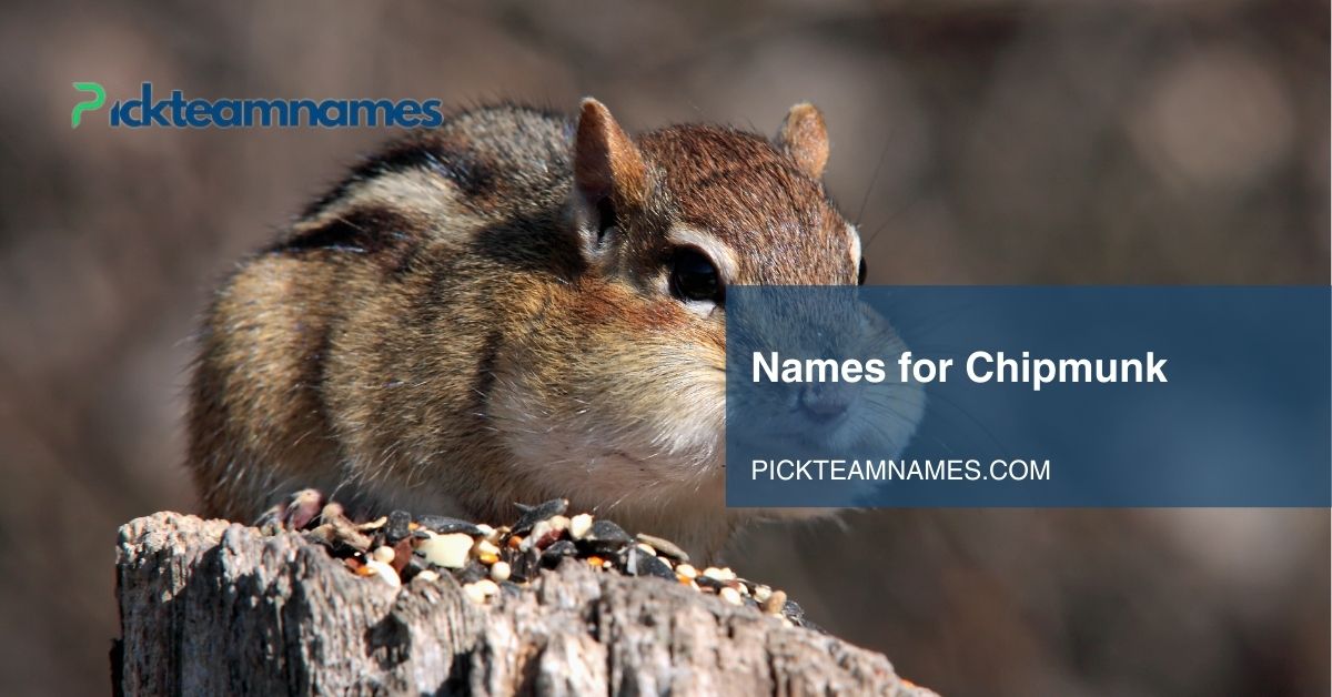 names for chipmunk