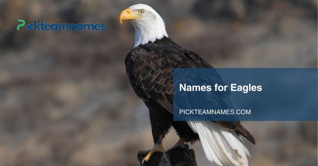 names for eagles