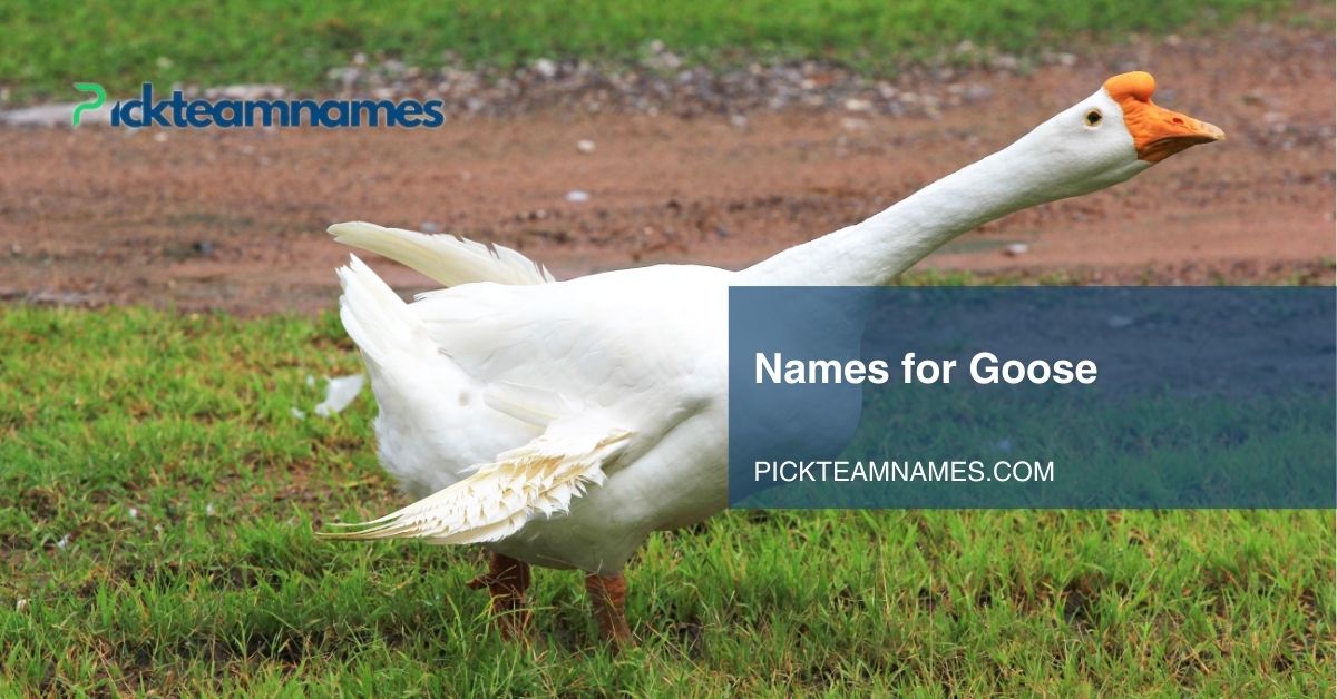 names for goose