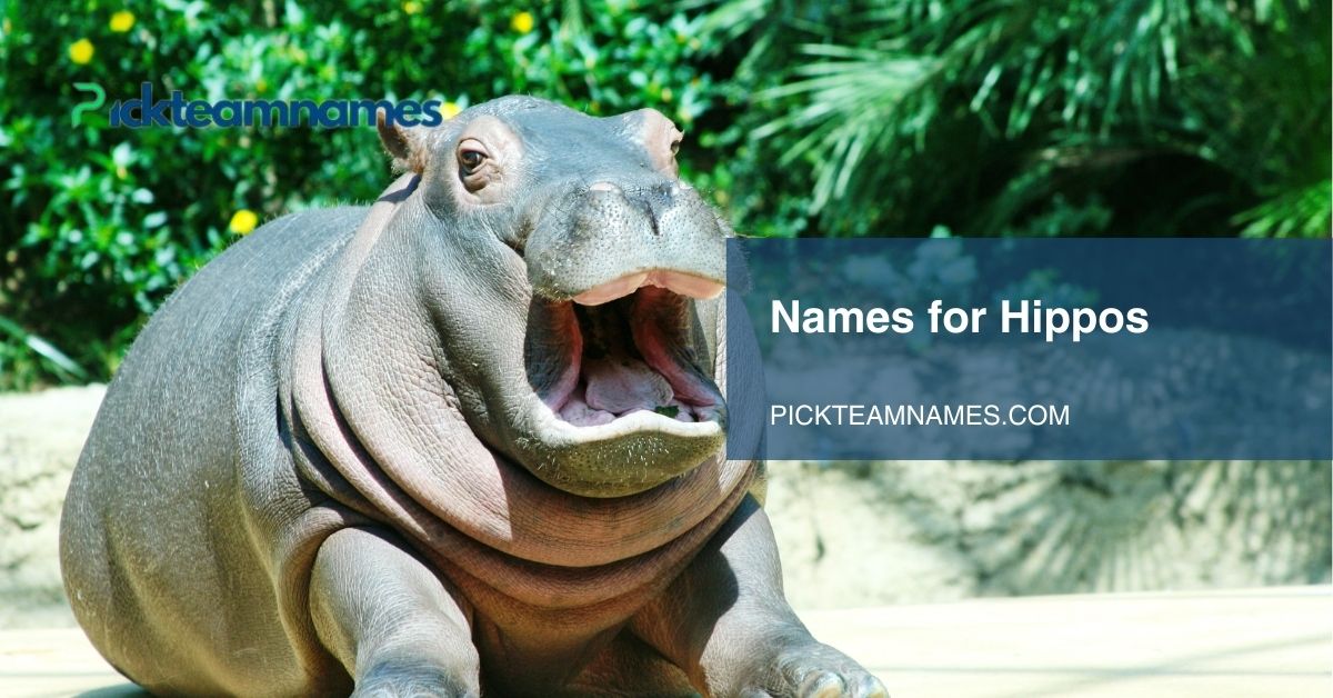 names for hippos