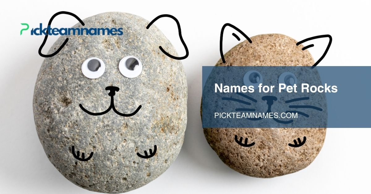 names for pet rocks