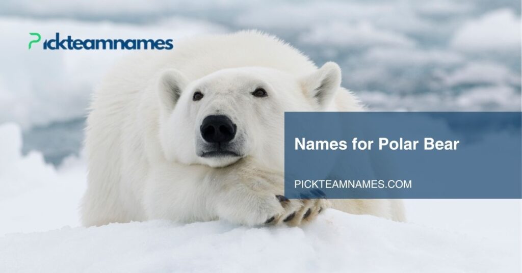 names for polar bear