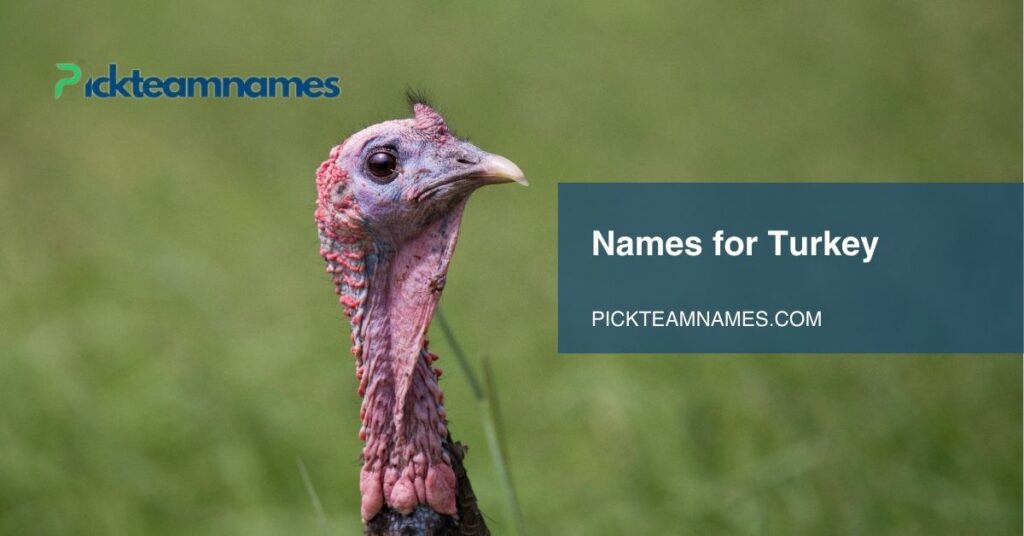 names for turkey