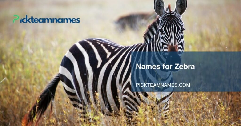 names for zebra