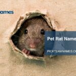 pet rat names