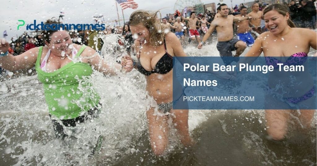 polar bear plunge team names