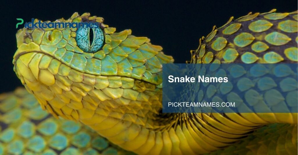 snake names