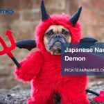 Japanese Names That Mean Demon