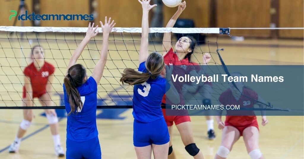 Volleyball Team Names